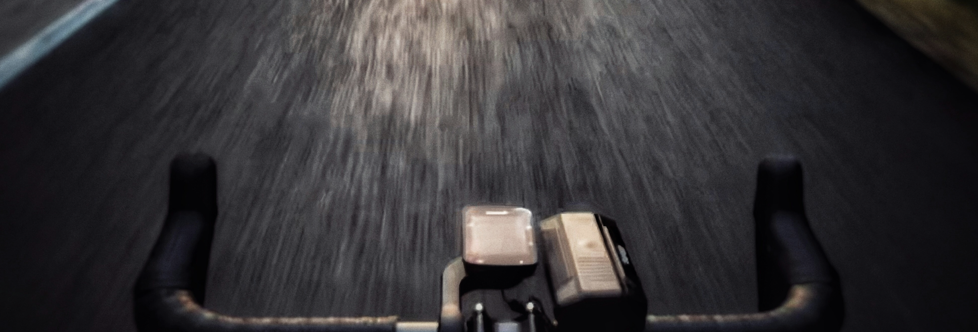 Fast bike ride through the trees.