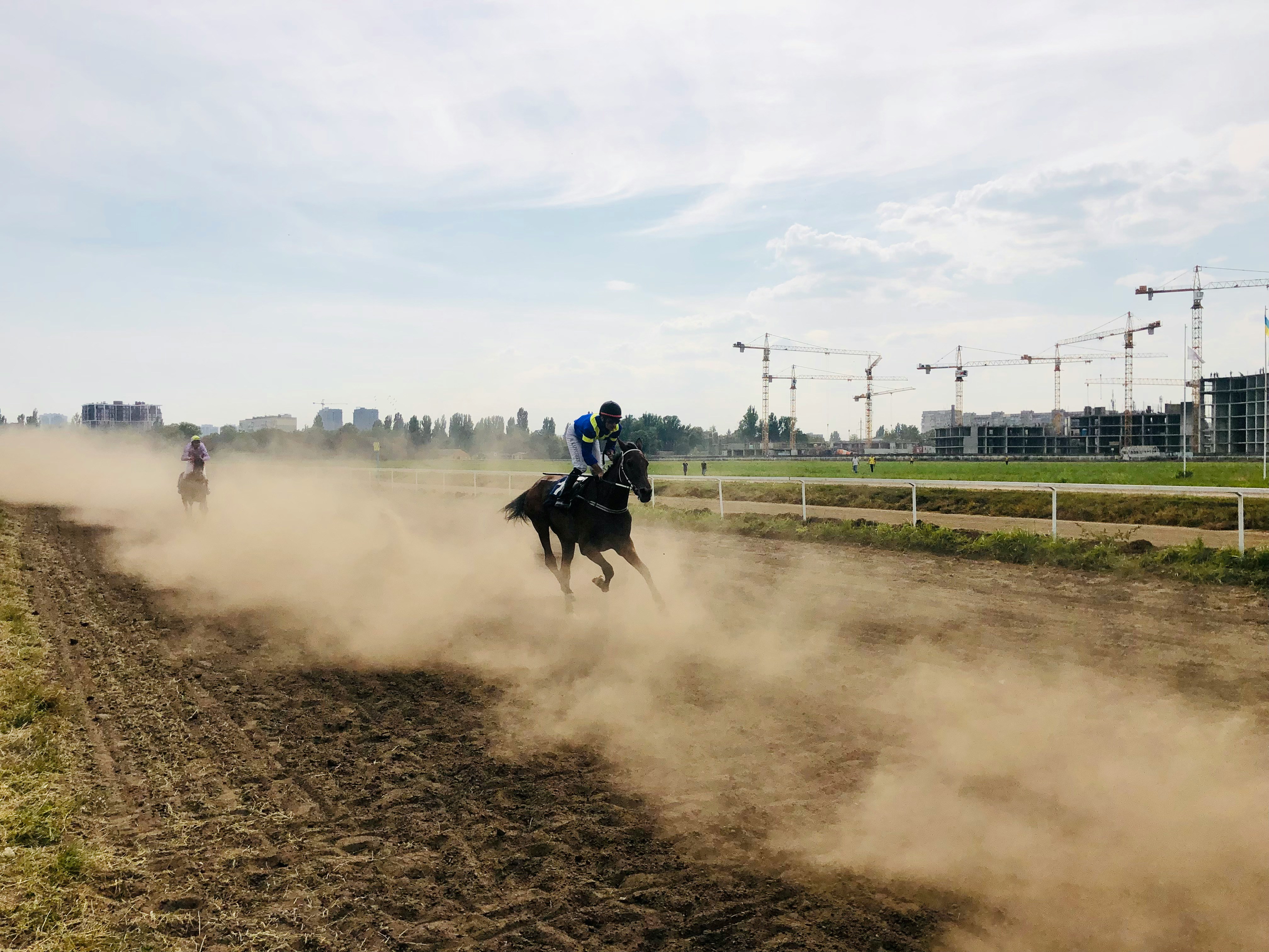 Racehorse training on the track
