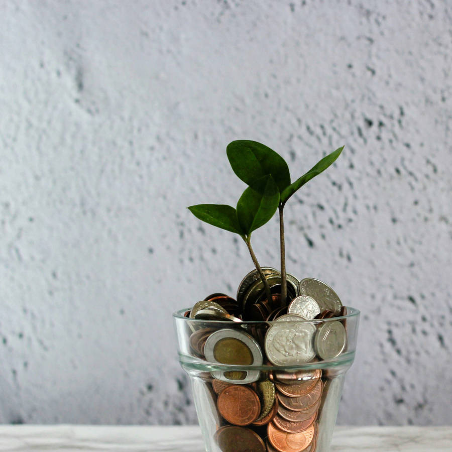 Plant sprouting up from a cup full of change.